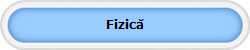 Fizic