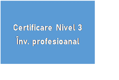 Caset text: Certificare Nivel 3
nv. profesioanal
