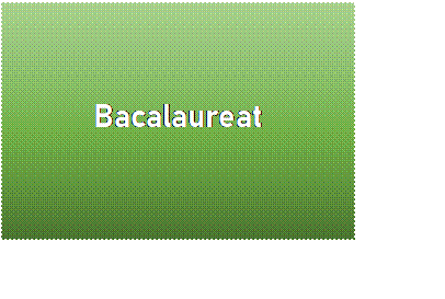 Caset text: Bacalaureat